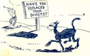 HAVE YOU REPLACED YOUR DIVOTS? - GOLF POSTCARD
