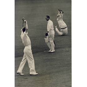 ENGLAND V AUSTRALIA 1948 (MILLER CATCHING HARDSTAFF, TRENT BRIDGE) CRICKET PHOTOGRAPH