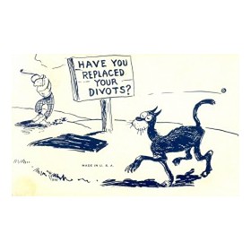 HAVE YOU REPLACED YOUR DIVOTS? - GOLF POSTCARD
