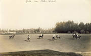 POLO MATCH (CALIFORNIA) POSTCARD