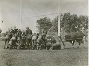 AMERICAN FOOTBALLERS AGAINST A BULL - UNUSUAL 1920S PRESS PHOTOGRAPH