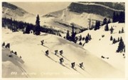 SKI-ING - CANADIAN ROCKIES (SUNSHINE VALLEY) postcard