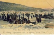 ICE SKATING (CHRISTMAS / NEW YEAR) POSTCARD