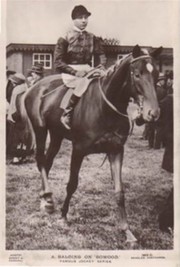 ALEC BALDING - "BOWOOD"