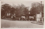 HAYDOCK PARK - HORSES ARRIVING AT THE COURSE