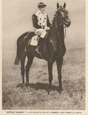 H. JELLISS,  - "APPLE SAMMY"