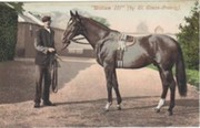 WILLIAM III (BY ST. SIMON-GRAVITY) - ASCOT GOLD CUP WINNER 1902