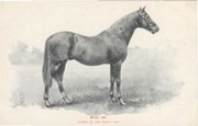 BEND OR - DERBY WINNER 1880