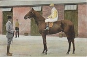 ROCK SAND - DERBY WINNER 1903