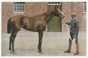 FLYING FOX - DERBY WINNER 1899