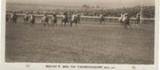 INSIGHT II - WINS THE CAMBRIDGESHIRE 1926