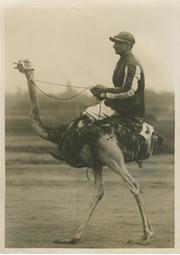 OSTRICH RACING IN PRAGUE 1920S PRESS PHOTOGRAPH
