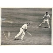 ENGLAND V AUSTRALIA (LORD