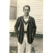 DAVID CLARK (KENT) CRICKET POSTCARD