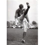 JERRY WALSH (SUNDAYS WELL, IRELAND & BRITISH LIONS)