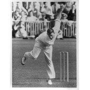 TONY MACGIBBON (NEW ZEALAND) CRICKET PHOTOGRAPH