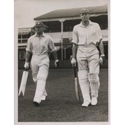 ASHDOWN & FAIRSERVICE (KENT) 1933 CRICKET PHOTOGRAPH