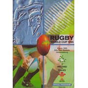 IRELAND V WALES 1995 (WORLD CUP)