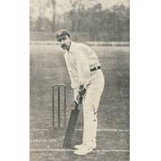 DAVID DENTON (YORKSHIRE) CRICKET POSTCARD