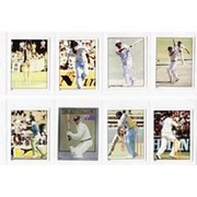 CRICKET STICKERS 1982 (SCANLEN)