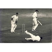 ENGLAND V AUSTRALIA 1948 (CRAPP CATCHING TALLON, OVAL) CRICKET PHOTOGRAPH