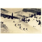 SKI-ING - CANADIAN ROCKIES (SUNSHINE VALLEY) postcard