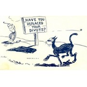 HAVE YOU REPLACED YOUR DIVOTS? - GOLF POSTCARD