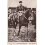 ALEC BALDING - "BOWOOD"