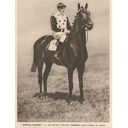 H. JELLISS,  - "APPLE SAMMY"