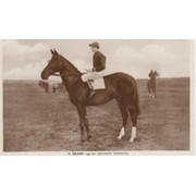 M. BEARY  - "GOLDEN ERMINE"