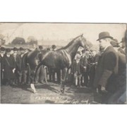 "FEATHERBED" - CHESTER CUP WINNER 1906