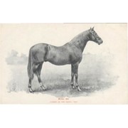 BEND OR - DERBY WINNER 1880