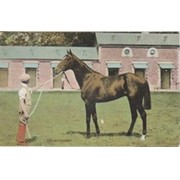 VOLODYOVSKI - DERBY WINNER 1901