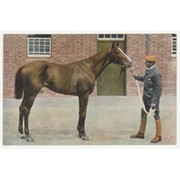 FLYING FOX - DERBY WINNER 1899