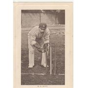 HENRY RIGDEN BUTT (SUSSEX & ENGLAND) CRICKET POSTCARD