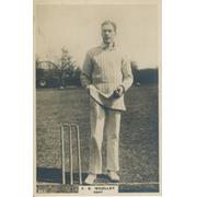 FRANK WOOLLEY (KENT) LARGE "PINNACE" CARD