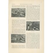 SWIMMING - THE ENCYCLOPAEDIA OF SPORT