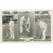 A.E. RELF, H. BUTT AND J. VINE CRICKET POSTCARD - SUSSEX CRICKETERS