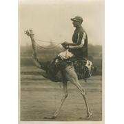 OSTRICH RACING IN PRAGUE 1920S PRESS PHOTOGRAPH