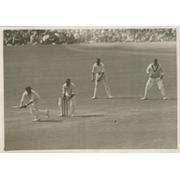 BILL PONSFORD (AUSTRALIA) 1934 BATTING AT THE OVAL CRICKET PHOTOGRAPH