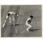 ENGLAND V AUSTRALIA 1968 (5TH TEST) CRICKET PHOTOGRAPH - DEXTER NEARLY RUN OUT?