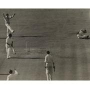 ENGLAND V AUSTRALIA 1953 (OVAL) CRICKET PHOTOGRAPH - COMPTON CAUGHT BY LANGLEY