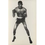 ERNIE TERRELL BOXING PHOTOGRAPH