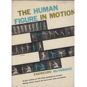 THE HUMAN FIGURE IN MOTION