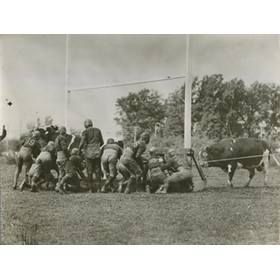 AMERICAN FOOTBALLERS AGAINST A BULL - UNUSUAL 1920S PRESS PHOTOGRAPH