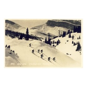 SKI-ING - CANADIAN ROCKIES (SUNSHINE VALLEY) postcard
