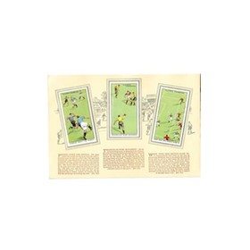 HINTS ON ASSOCIATION FOOTBALL CIGARETTE CARDS (PLAYER