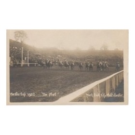 CHESTER CUP 1923 