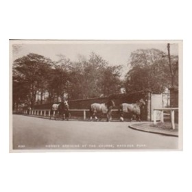 HAYDOCK PARK - HORSES ARRIVING AT THE COURSE