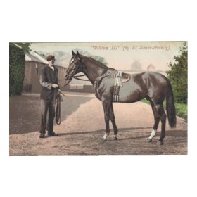 WILLIAM III (BY ST. SIMON-GRAVITY) - ASCOT GOLD CUP WINNER 1902